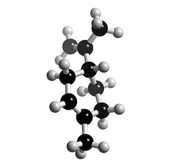 limonene limonene Limonene