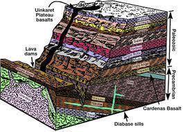D: Carbon Dating and Estimating Fossil Age - Biology LibreTexts