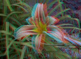 What is an Anaglyph? What is an Anaglyph?