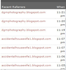 referrer-spam referrer spam Referrer Spam