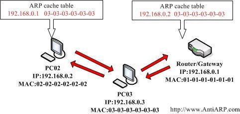 ARP Cache ARP Cache