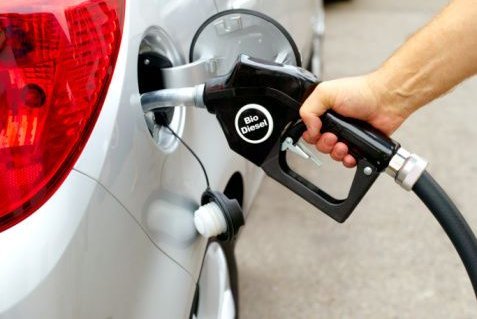Biodiesel Biodiesel Biodiesel