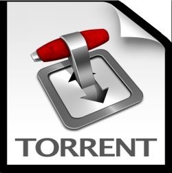 How Do Torrents Work? Torrent How Do Torrents Work?