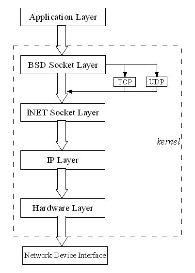 The Application Layer of the