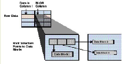 BLOB (Binary Large OBject) blob BLOB (Binary Large OBject)
