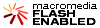 browser plugin flash Browser Plugins