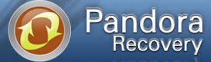 File Recovery Software File Recovery Software
