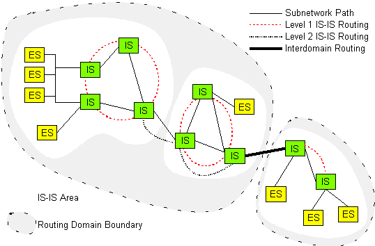 Network Layer networking Network Layer
