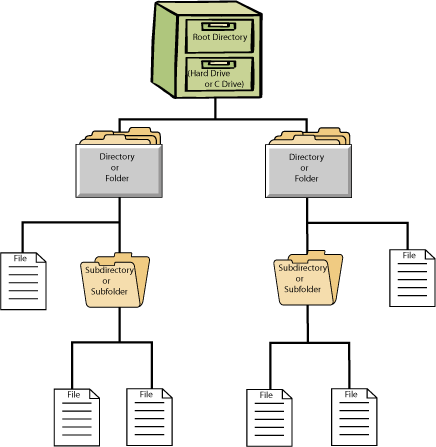 DFS (Distributed File System)