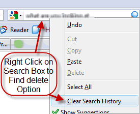 How to Delete Search History