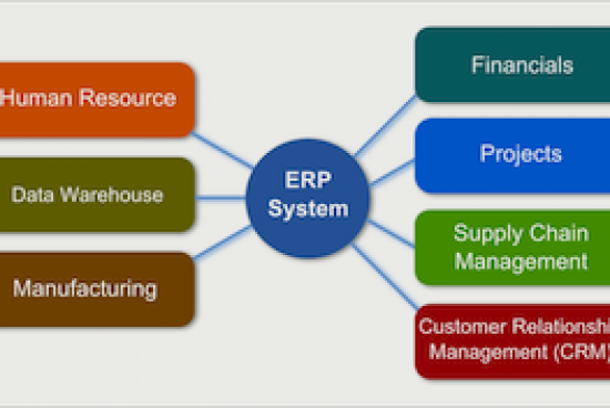 ERP System