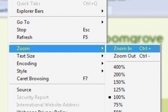 How to Zoom in Internet Explorer