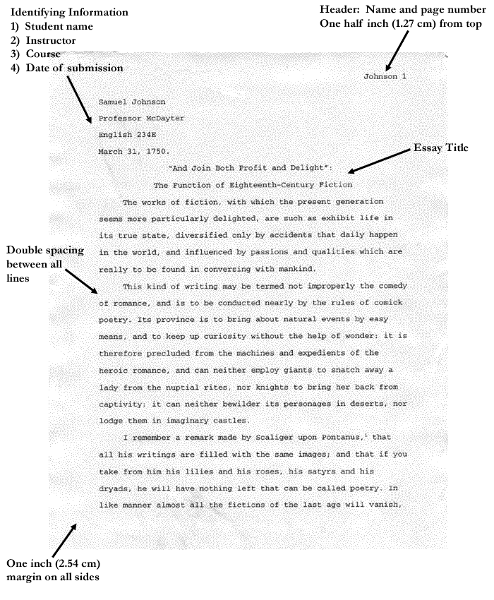 mla academic essay format