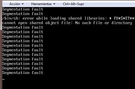 c string assignment segmentation fault