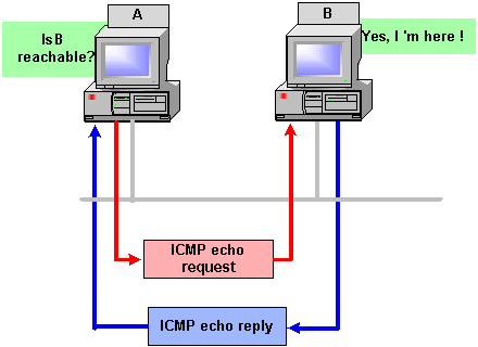 ARP (Address Resolution Protocol)