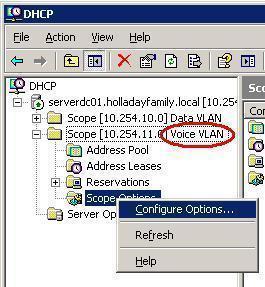 DHCP Scope