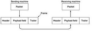 Frame vs Packet