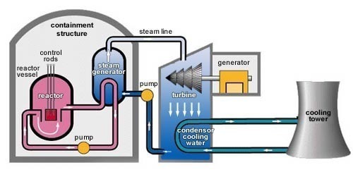 How Do Nuclear Power Plants Work?