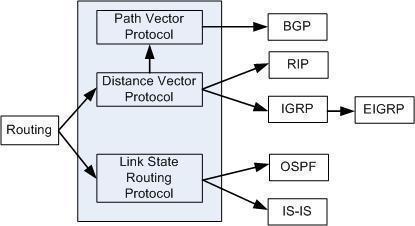 Routing Protocols