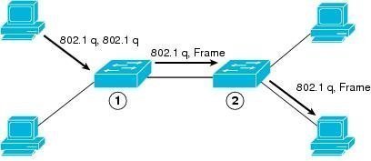 VLAN Hopping