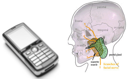 Image result for How Do Mobile Phones Affect our Brain