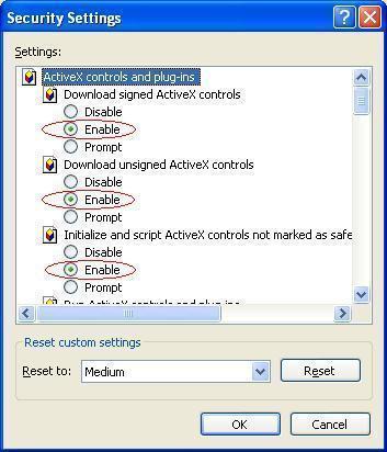 how to enable activex controls