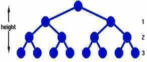 Height of a binary tree