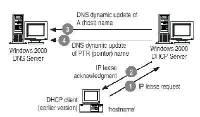 integrating the DNS server with DHCP and wins