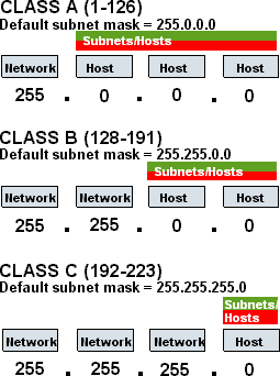 IP Address