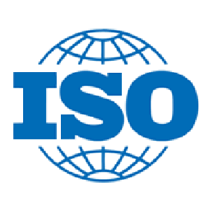 What does ISO Stand For?