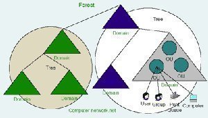 Logical Structure of an Active Directory