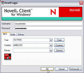 Novell Netware and Windows Server