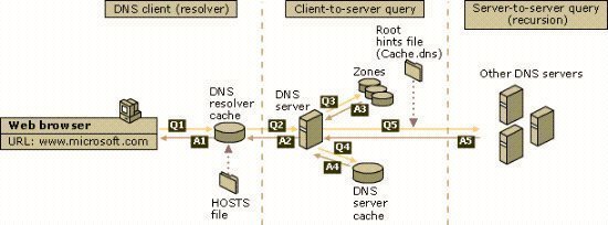 Understanding DNS Queries and Lookups