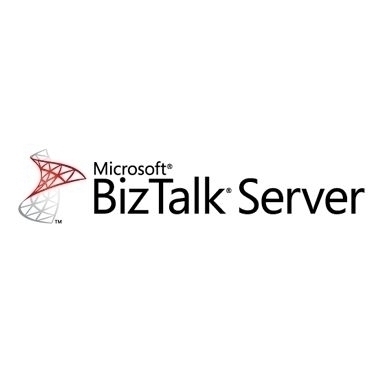 Understanding Microsoft BizTalk Server